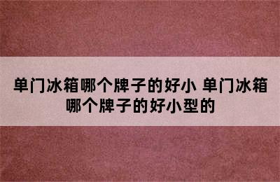 单门冰箱哪个牌子的好小 单门冰箱哪个牌子的好小型的